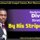 Seeking God's Divine Strategy By His Stripes Part 6 Pastor Odim Awa Odim